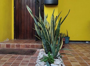 Casa Nueva | Downtown Cancun