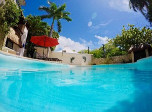 Mango Hostel | Downtown Cancun