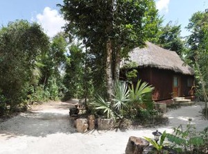 Jolie Jungle Eco Hotel | Leona Vicario