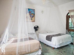 Jolie Jungle Eco Hotel | Leona Vicario
