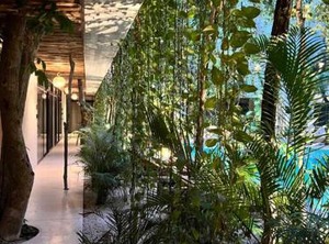 Jungle | Tulum