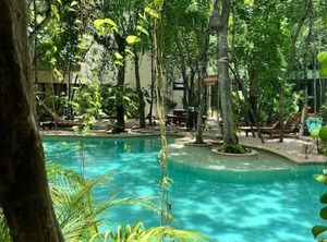 Jungle | Tulum