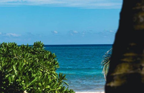 Playa Paraiso Bed & Breakfast | 17 m² Bed and breakfast ∙ 3 guests
