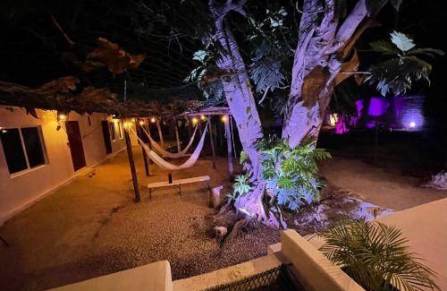 Centro Bed & Breakfast | 17 m² Bed and breakfast ∙ 4 guests