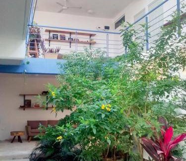 Bacalar Bed & Breakfast | 18 m² Bed and breakfast ∙ 2 guests