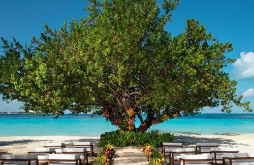 Punta Cancun Resort | 192 m² Resort ∙ 127 guests