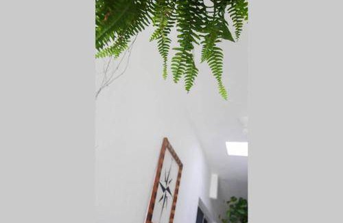 Isla Holbox Hostel | 24 m² Hostel ∙ 3 guests