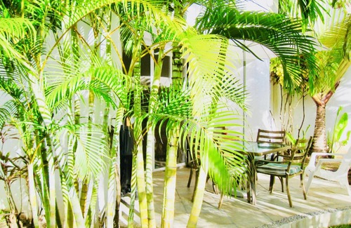 Playacar Resort | 24 m² Private room ∙ 1 bedroom ∙ 2 guests