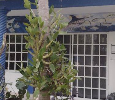 Punta Allen Bed & Breakfast | 28 m² Bed and breakfast ∙ 4 guests