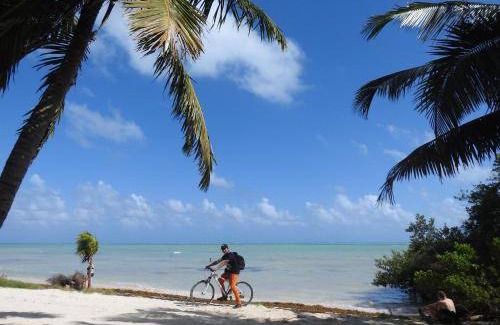 Punta Allen Bed & Breakfast | 28 m² Bed and breakfast ∙ 4 guests