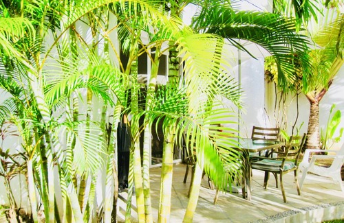 Playacar Resort | 35 m² Private room ∙ 1 bedroom ∙ 4 guests