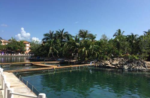 Puerto Aventuras Apartment | 36 m² Apartment ∙ 1 bedroom ∙ 2 guests