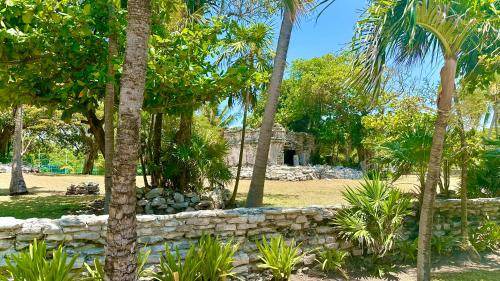Playacar Fase I Apartment | 50 m² Apartment ∙ 1 bedroom ∙ 6 guests