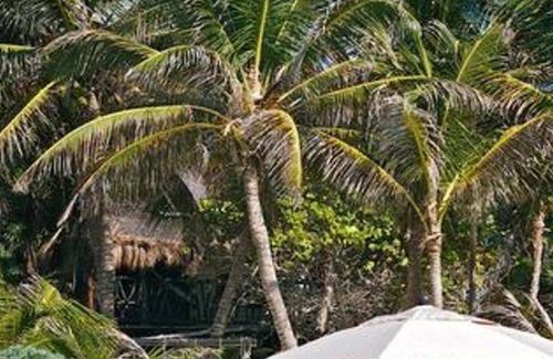 Zona Hotelera Cabin | 70 m² Lodge ∙ 5 guests