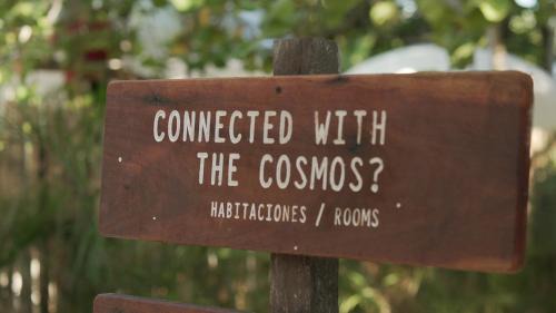 Playa Paraiso Other | Astral Tulum