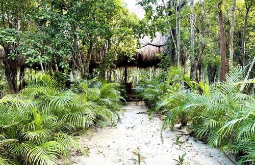 Soliman Bay Other | Camping ∙ 1 bedroom ∙ 2 guests