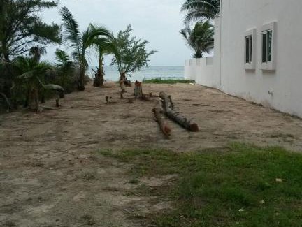Puerto Morelos Villa | Casa Niwinski