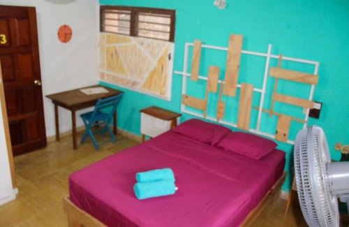 Colonia Adolfo Lopez Mateos Hostel | Casa Samay