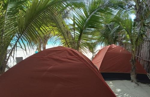 Zona Hotelera Other | Chavez Eco Beach Camping and Cabañas