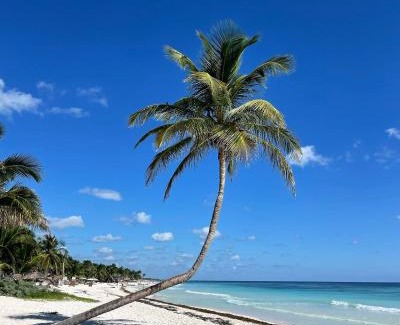 Zona Hotelera Other | Chavez Eco Beach Camping and Cabañas