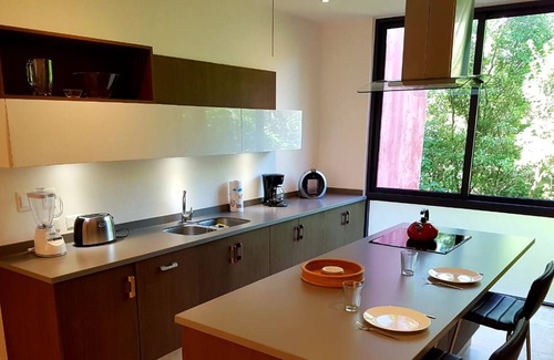 Zama Condo | Chic Jungle 2 BR Condo by Happy Address