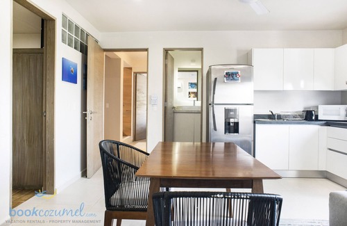 Colonia Centro Condo | Divers Paradise NEW 2 Bedroom Condo w/Rooftop Pool