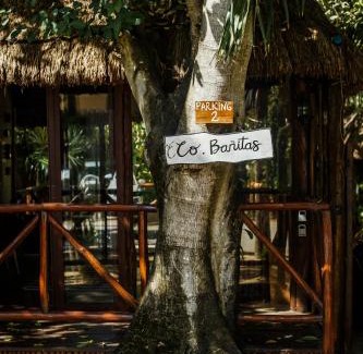 Zona Hotelera Hotel | Eco Bañitas Tulum