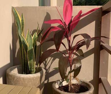 La Veleta Apartment | Great 2 BR Apt - WiFi & Pool - Perfect Location