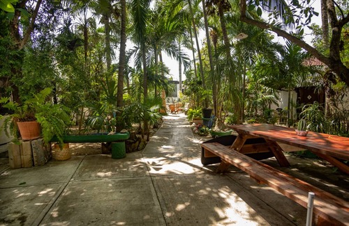 Tulum City Center Hostel | Hostel ∙ 6 guests