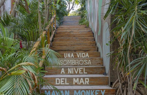 Isla Mujeres Hostel | Hostel ∙ 8 guests