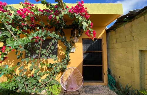 Bacalar Apartment | Jungla Bacalar/ Casa Jaguar