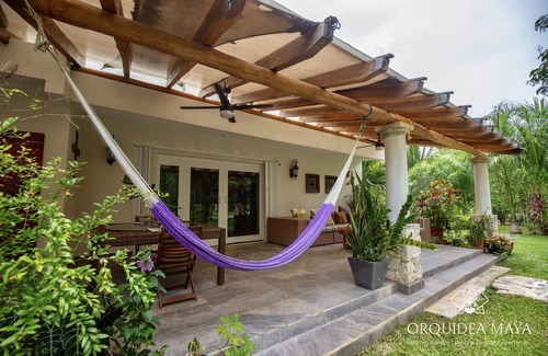Costa Maya House | Jungle House in Cenote & Mayan Ruins Area & Tree House- 2miles from the beach.