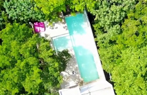 Akumal House | King of the Jungle!nn