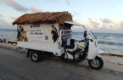 La Veleta Hostel | Maui Hostels Tulum