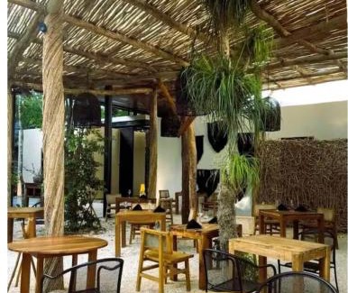 Tulum Apartment | Mini suite con alberca y aire acondicionado en zona tranquila de Tulum