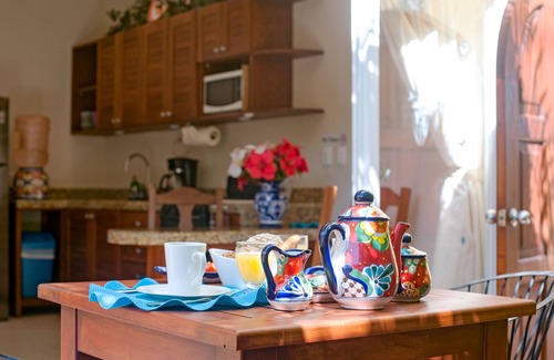 Puerto Morelos Apartment | Modern, comfortable, well-appointed apartment with private garden courtyard.