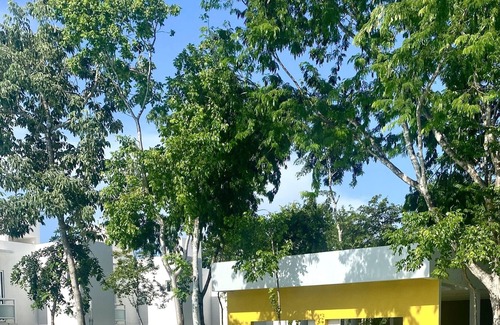 Puerto Juarez House | New 3 floor house Frontemare 3BR Wifi Park Pool