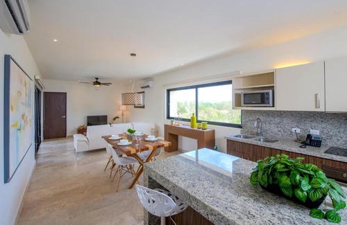Gonzalo Guerrero Apartment | Palmares Condo Rentals