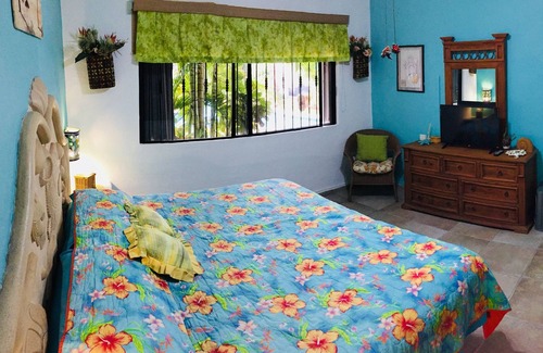 Downtown Condo | Spacious 1 bedroom 300 m from Mamitas Beach