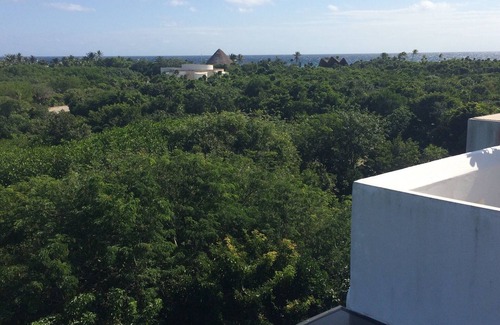 Akumal Condo | The Condo is in the gated Sirenis Resort community.