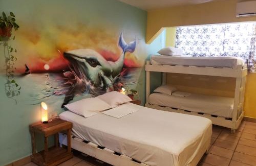 Centro Hostel | Tres Mundos Hostel