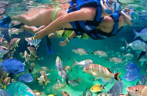 Puerto Juarez Condo | Your Little Slice Of Escapism & Adventure