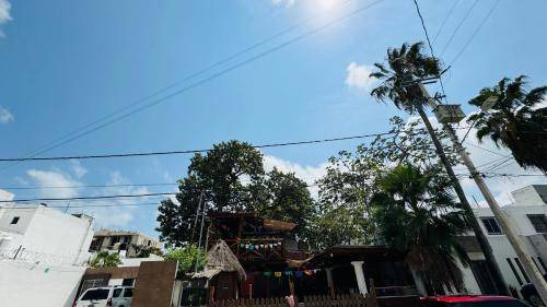 Downtown Cancun Hostel | 12 m² Hostel ∙ 1 guest