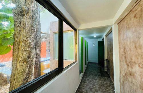 Downtown Cancun Hostel | 12 m² Hostel ∙ 1 guest