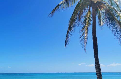 Villa Juarez Apartment | 150 m² Apartment ∙ 3 bedrooms ∙ 8 guests