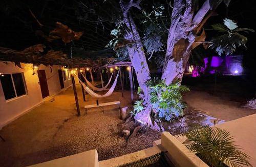 Centro Bed & Breakfast | 17 m² Bed and breakfast ∙ 4 guests