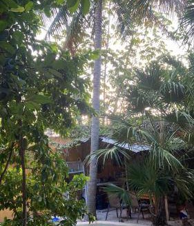 Puerto Juarez Bed & Breakfast | 18 m² Bed and breakfast ∙ 2 guests