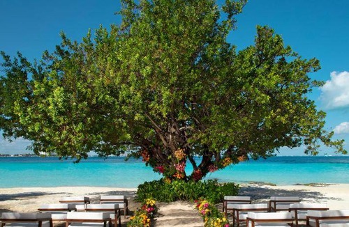 Punta Cancun Resort | 192 m² Resort ∙ 127 guests