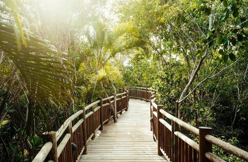 Ejidal Condo | 2 Bdr. Suite at VIDANTA RIVERA GRAND MAYAN!