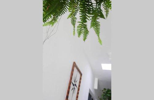 Isla Holbox Hostel | 24 m² Hostel ∙ 3 guests